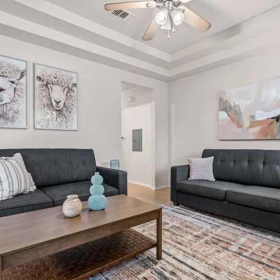 No Prob-Llama | Easy ATX Days in a Bright Bungalow - Image 1